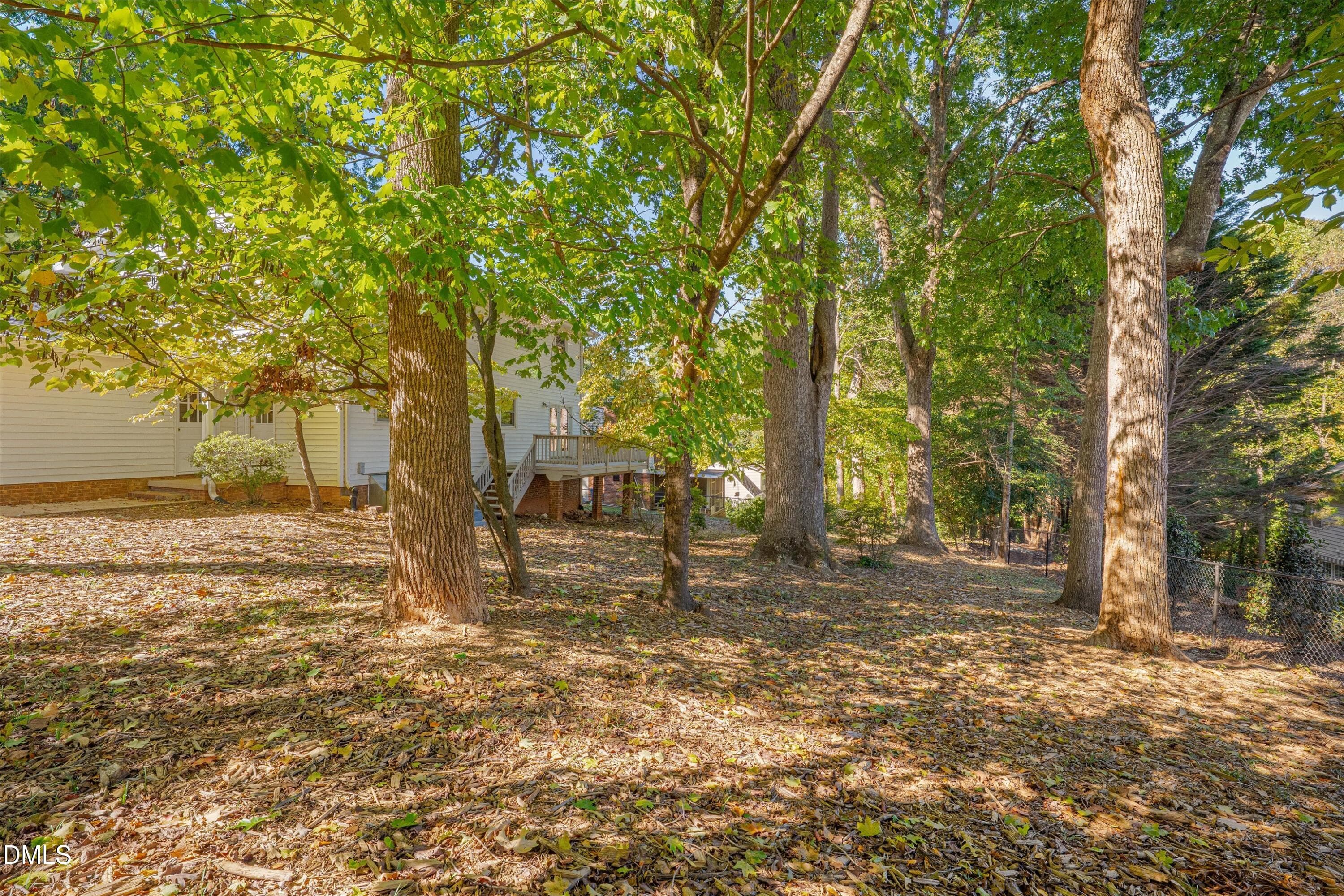 Backyard - 3600 Carriage Drive, Raleigh, NC 27612