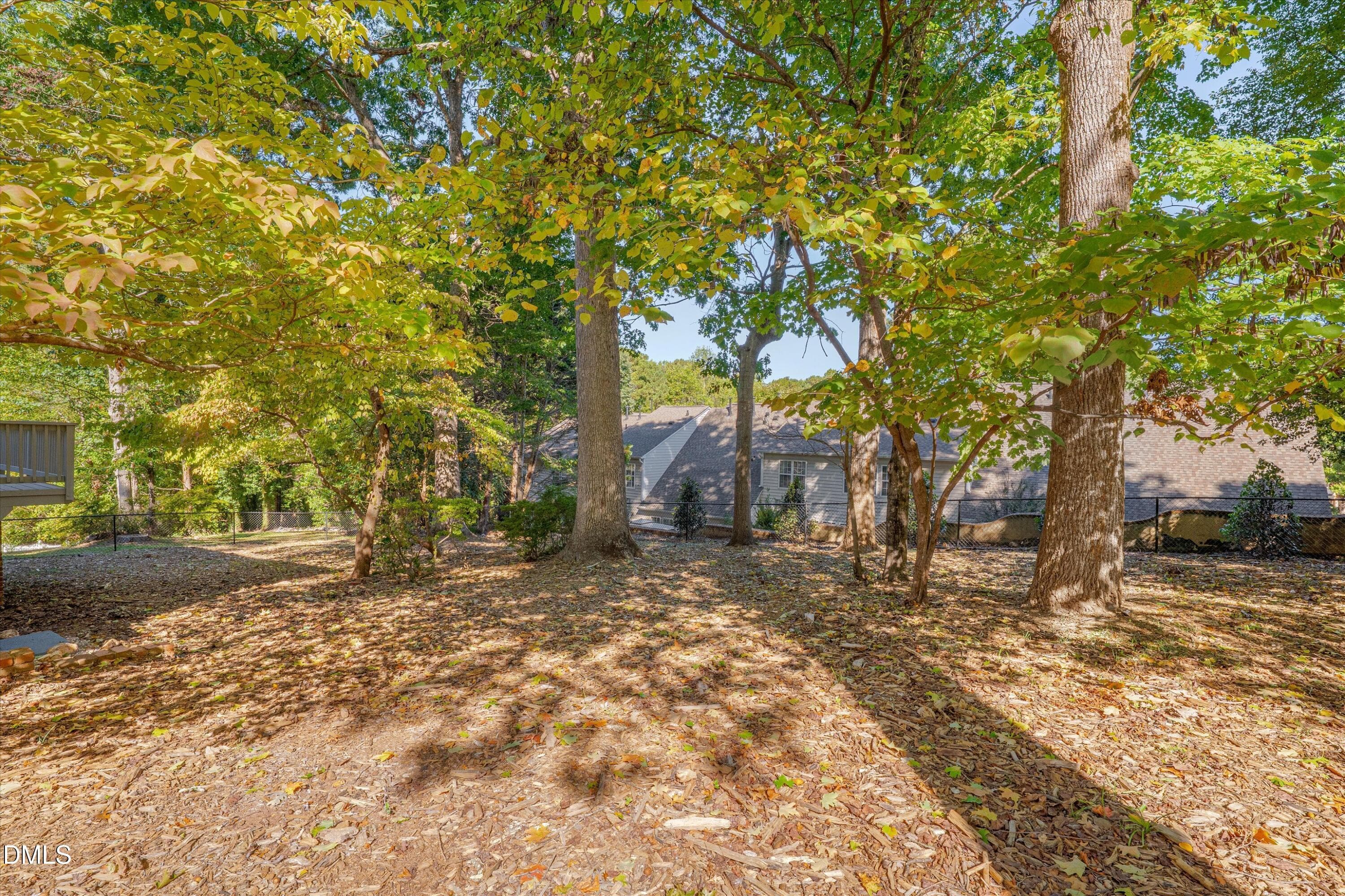 Backyard - 3600 Carriage Drive, Raleigh, NC 27612