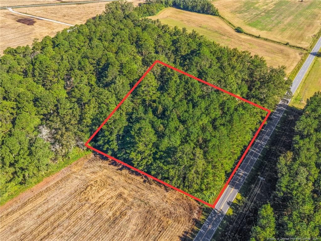 Photo 1 - TBD Emma Jane Road, St. Pauls, NC 28384