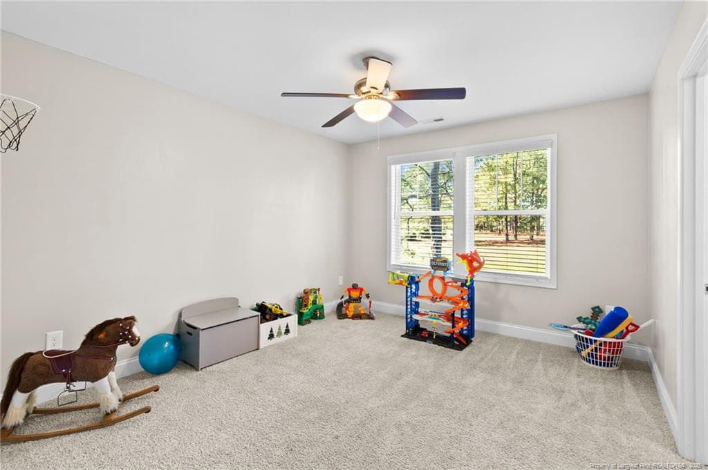 Photo 40 - 101 Carousel Street, West End, NC 27376