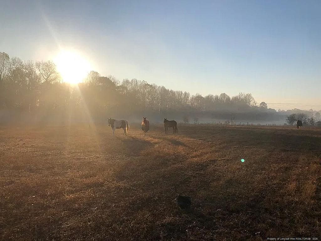 Photo 16 - 1870 McCormick Road, Sanford, NC 27332, Sanford