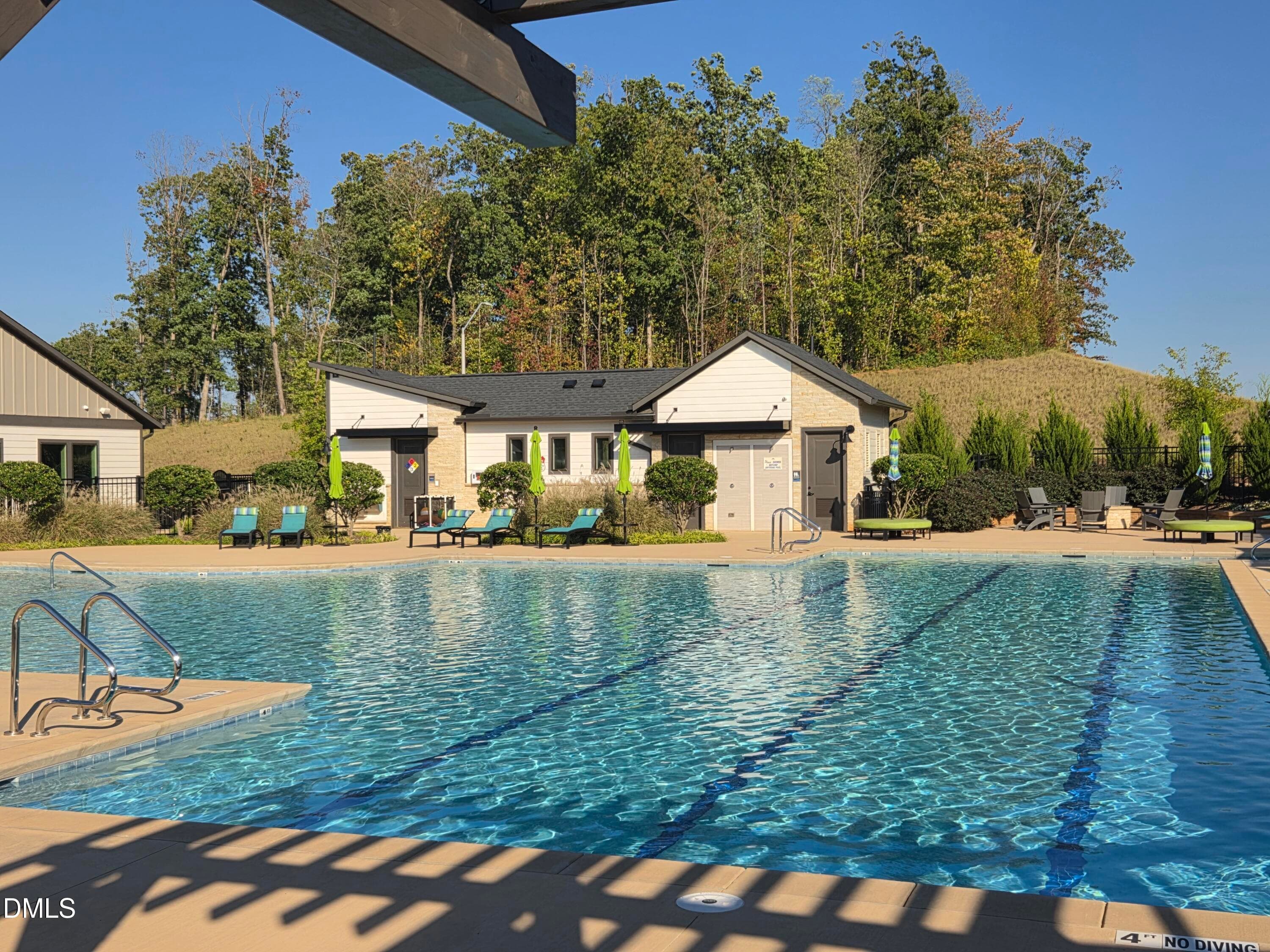prospect pool - 125 Prospect Place, Pittsboro, NC 27312, Pittsboro