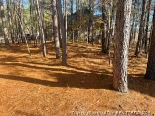 847 Seagull Drive, Vass, NC 28394