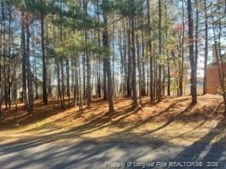 Photo 5 - 847 Seagull Drive, Vass, NC 28394