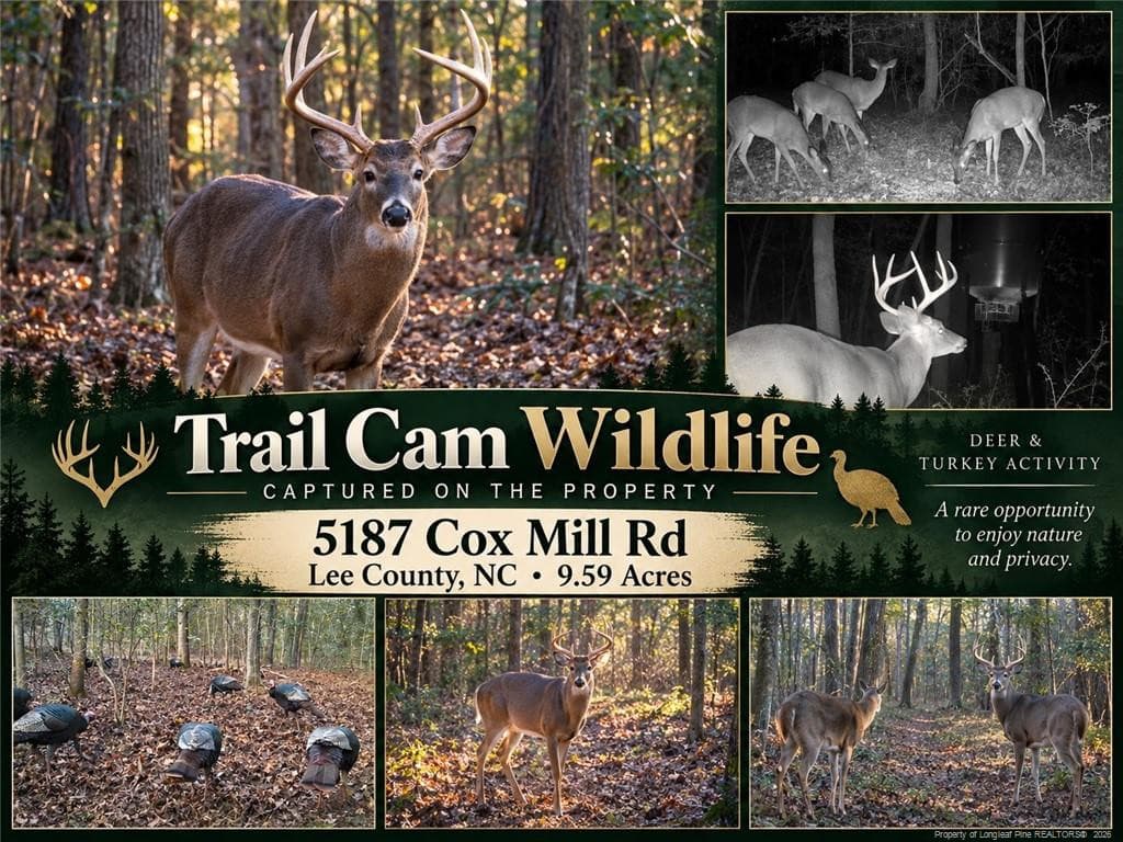 Photo 2 - 5187 Cox Mill Road, Sanford, NC 27332, Sanford