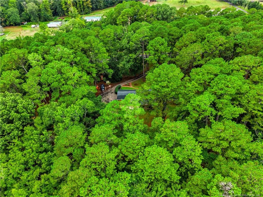 Rear Aerial View - 5187 Cox Mill Road, Sanford, NC 27332, Sanford