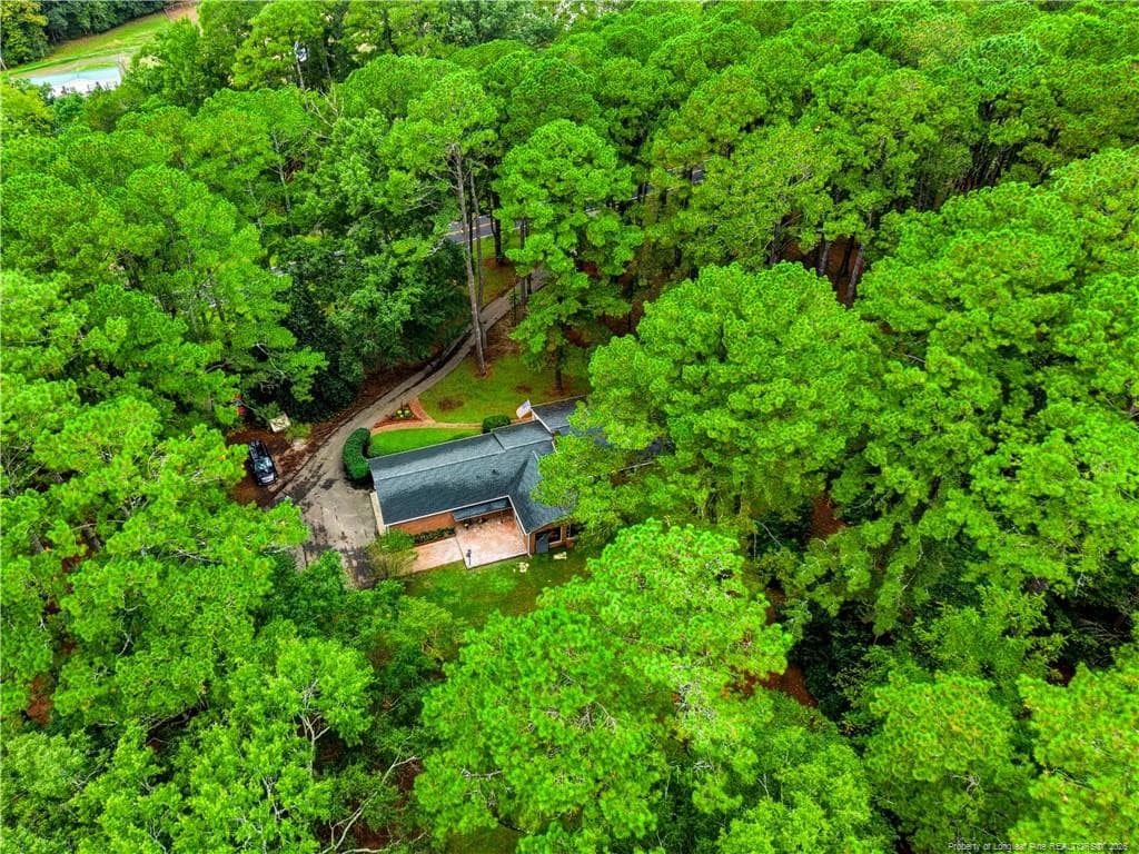 Aerial Rear View - 5187 Cox Mill Road, Sanford, NC 27332, Sanford