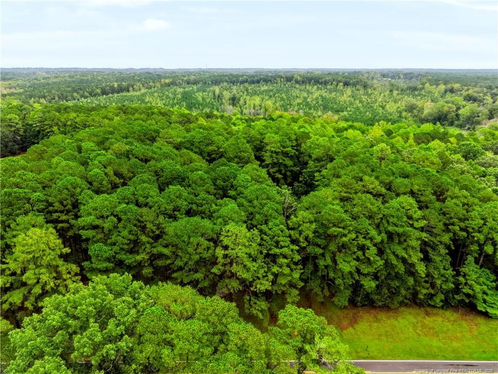 Wooded acreage behind home. - 5187 Cox Mill Road, Sanford, NC 27332, Sanford