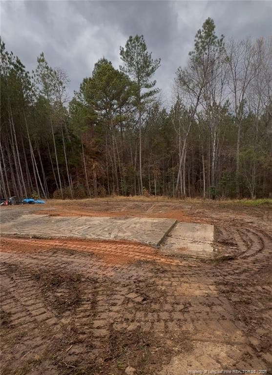 183 Thistlecone Lane, Sanford, NC 27332