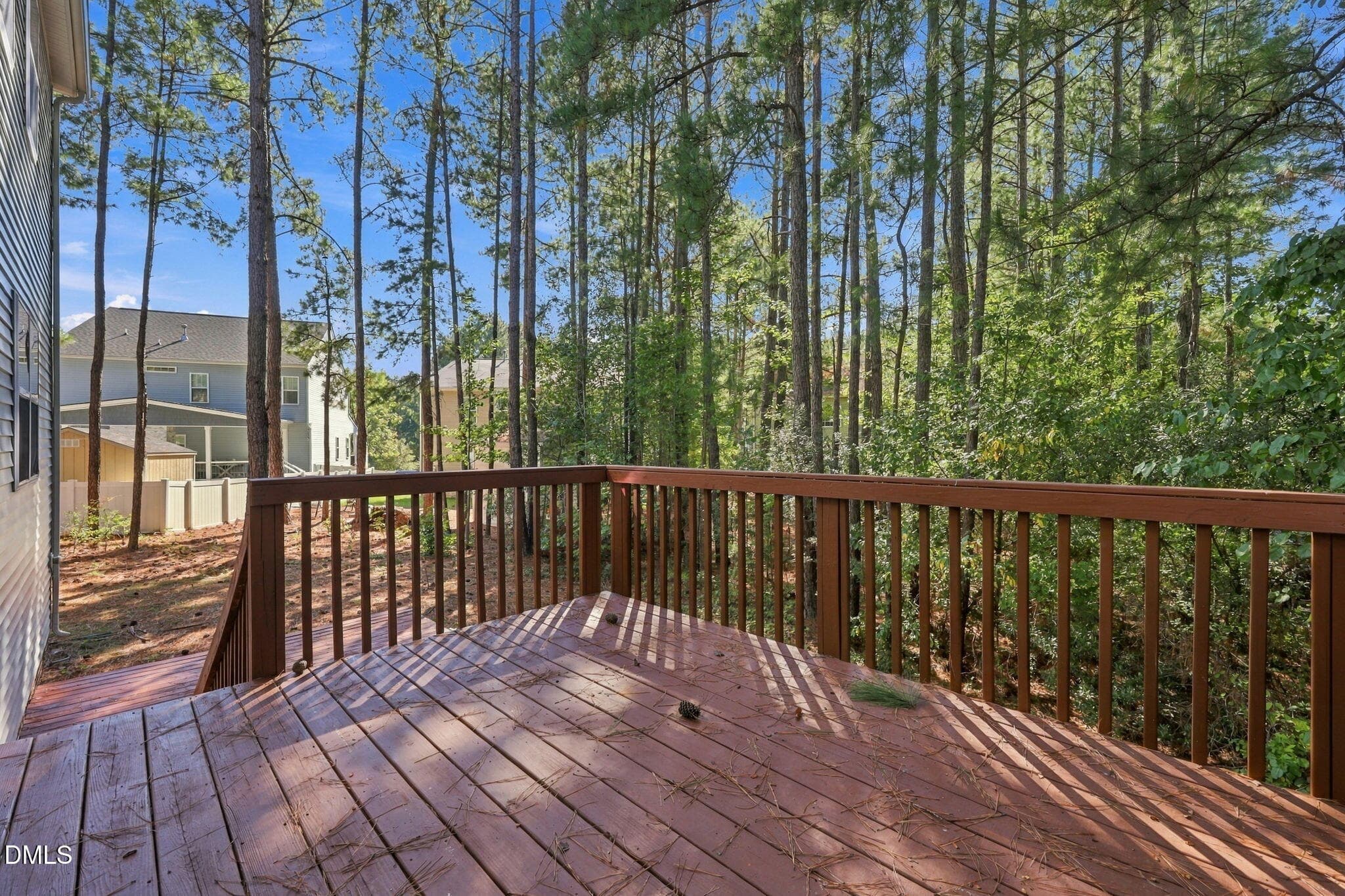 25-web-or-mls-IMG_1118 - 305 Switchback Street, Knightdale, NC 27545, Knightdale