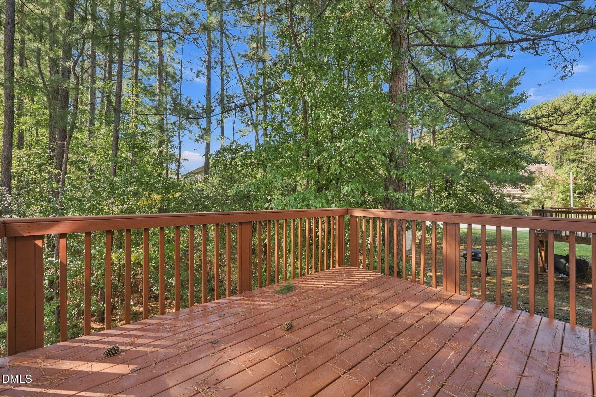26-web-or-mls-IMG_1121 - 305 Switchback Street, Knightdale, NC 27545, Knightdale