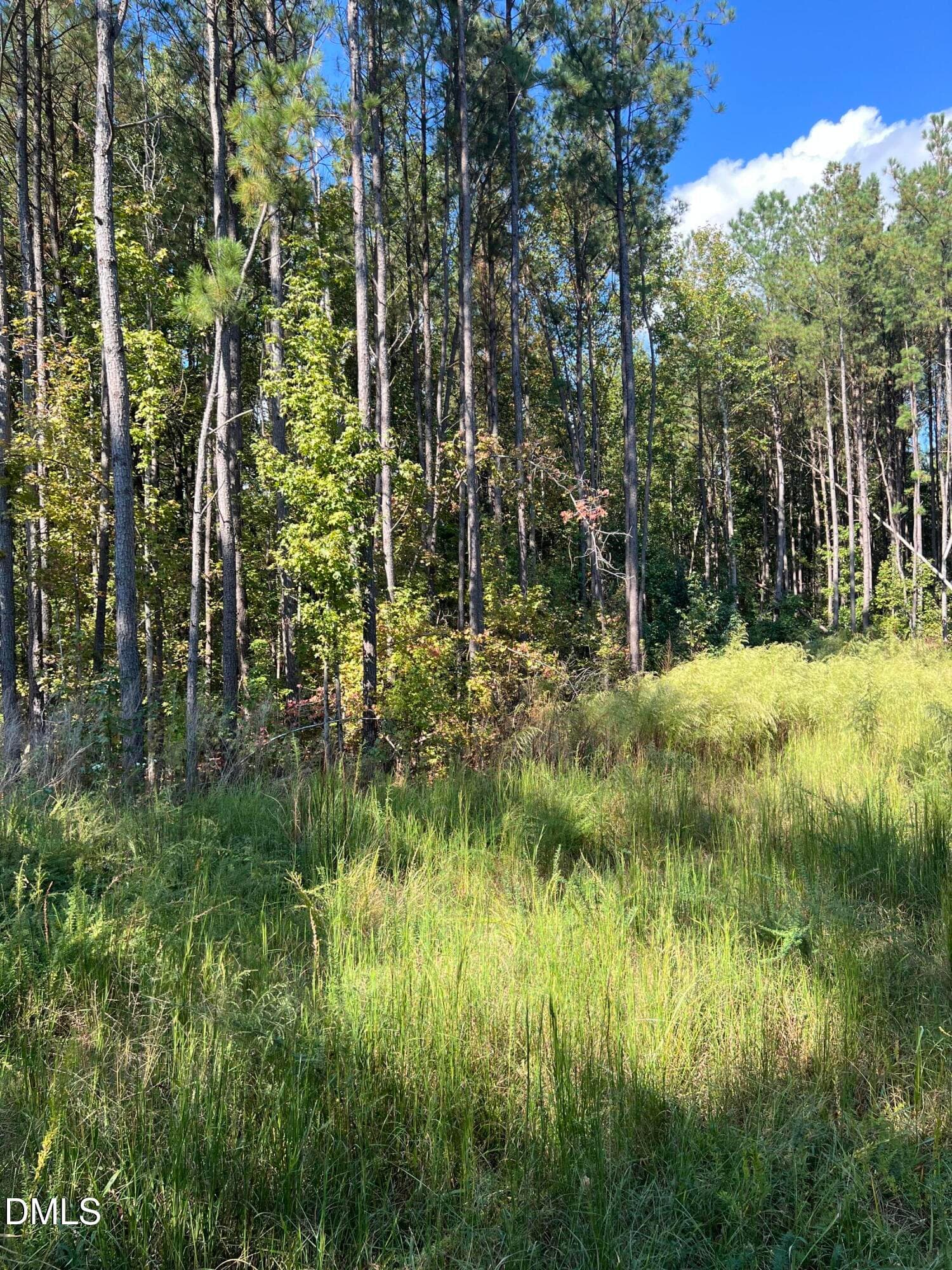 0 Jones Cousins Way, Zebulon, NC 27597