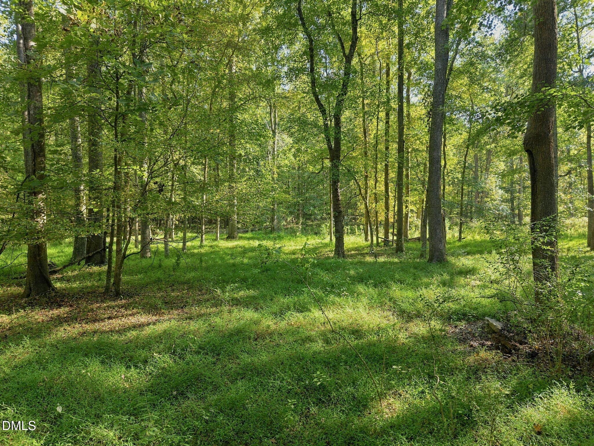 20-web-or-mls-DJI_20261011055802_0190_D - 2975 Canter Drive, Hillsborough, NC 27278, Hillsborough