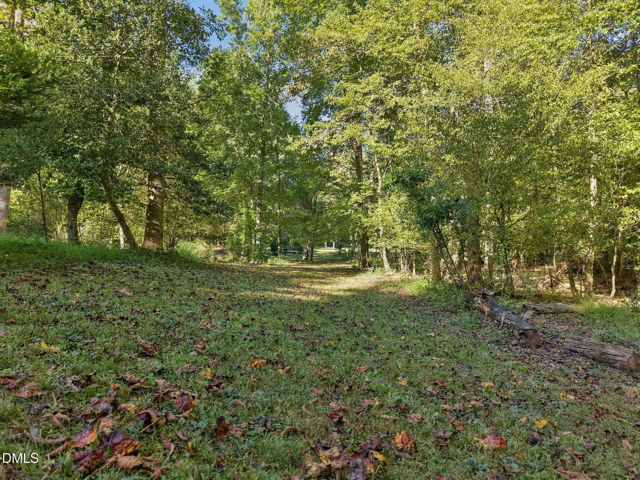 23-web-or-mls-DJI_20261011060013_0196_D - 2975 Canter Drive, Hillsborough, NC 27278, Hillsborough