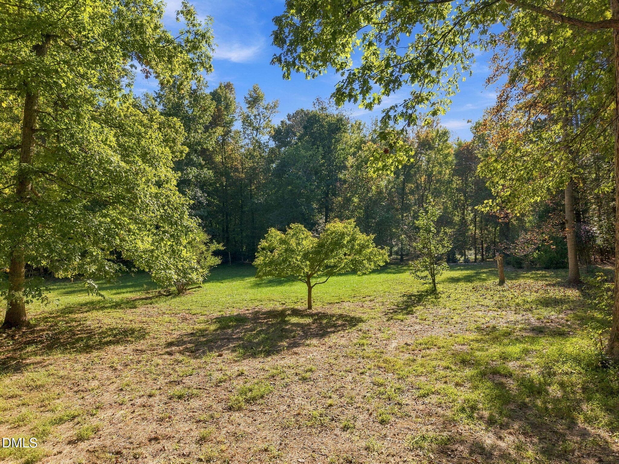 32-web-or-mls-DJI_20261011060613_0215_D - 2975 Canter Drive, Hillsborough, NC 27278, Hillsborough