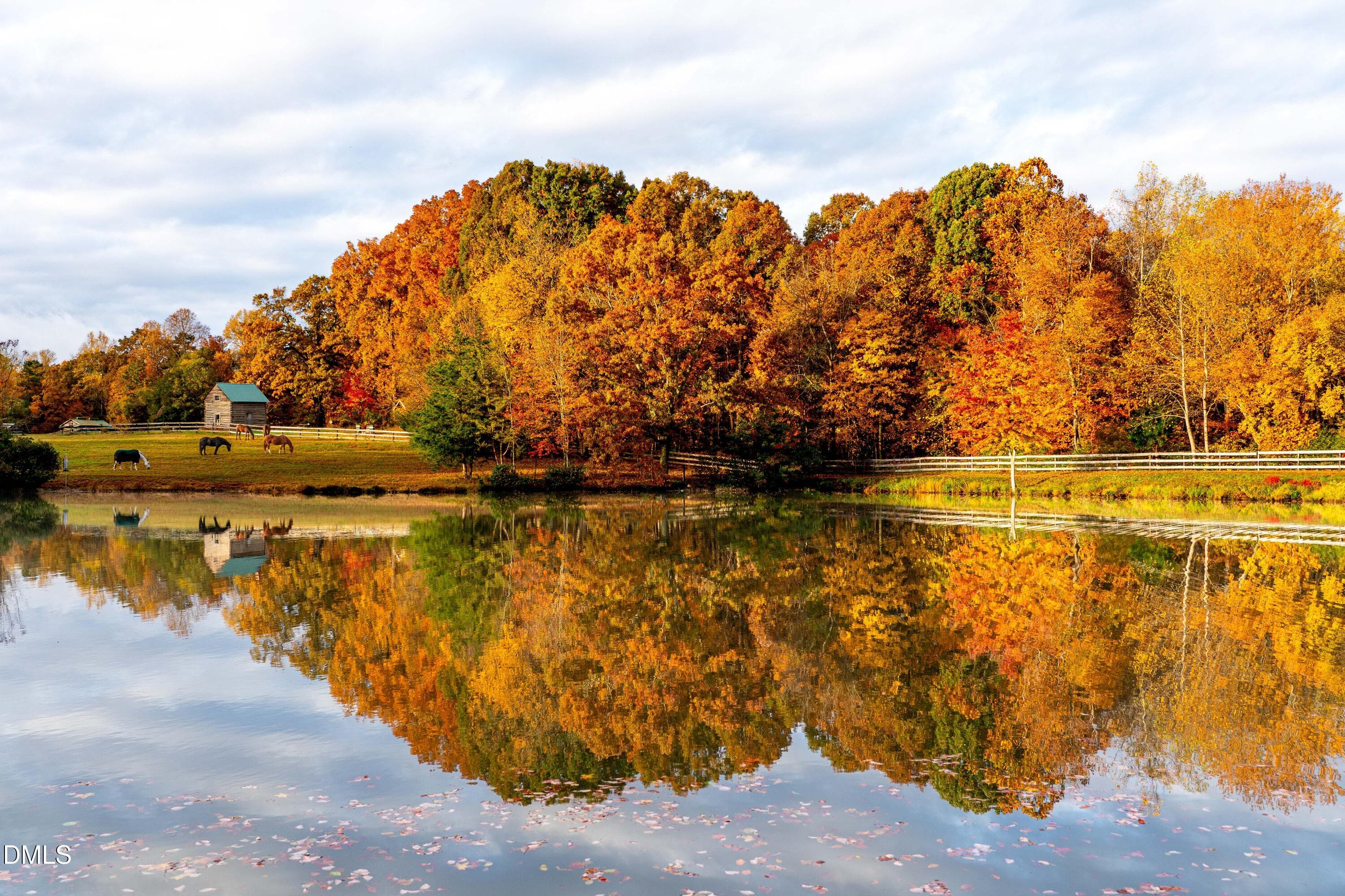 Colorful Leaves - 2844 Leasburg Road, Roxboro, NC 27574