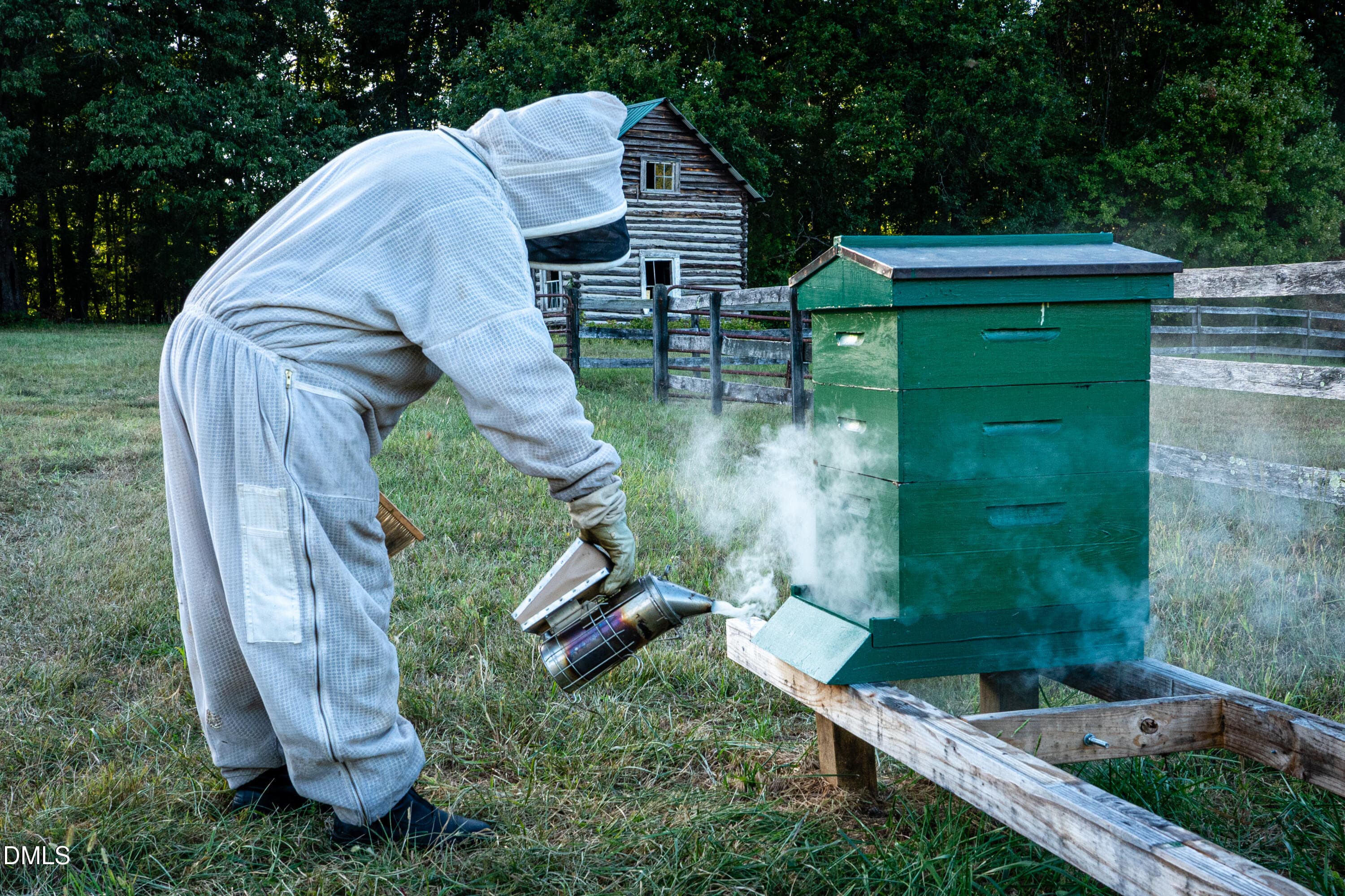 Bee Keeping - 2844 Leasburg Road, Roxboro, NC 27574