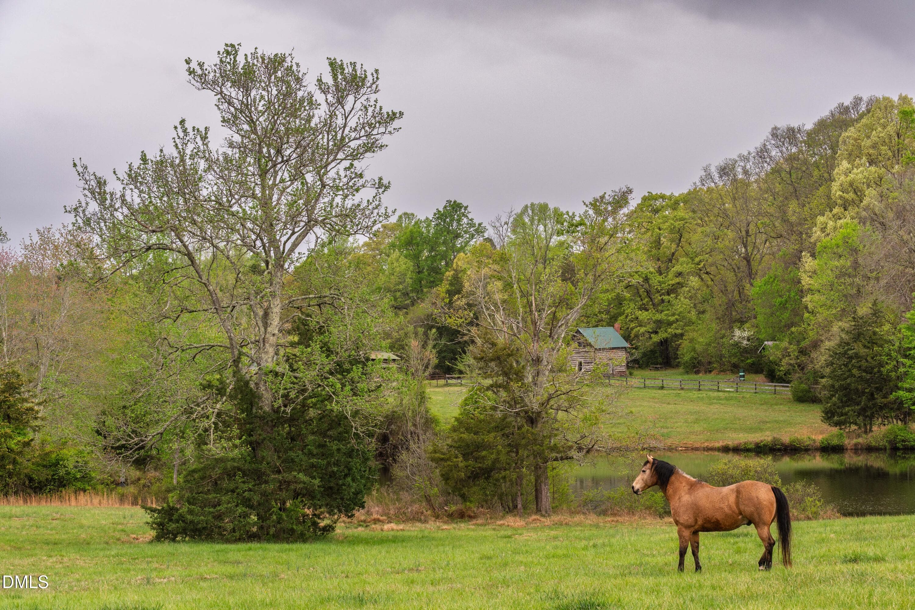 Pony - 2844 Leasburg Road, Roxboro, NC 27574