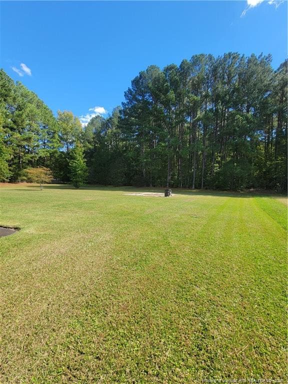 Photo 10 - 1540 Sandy Bay Circle, Fayetteville, NC 28312, Fayetteville