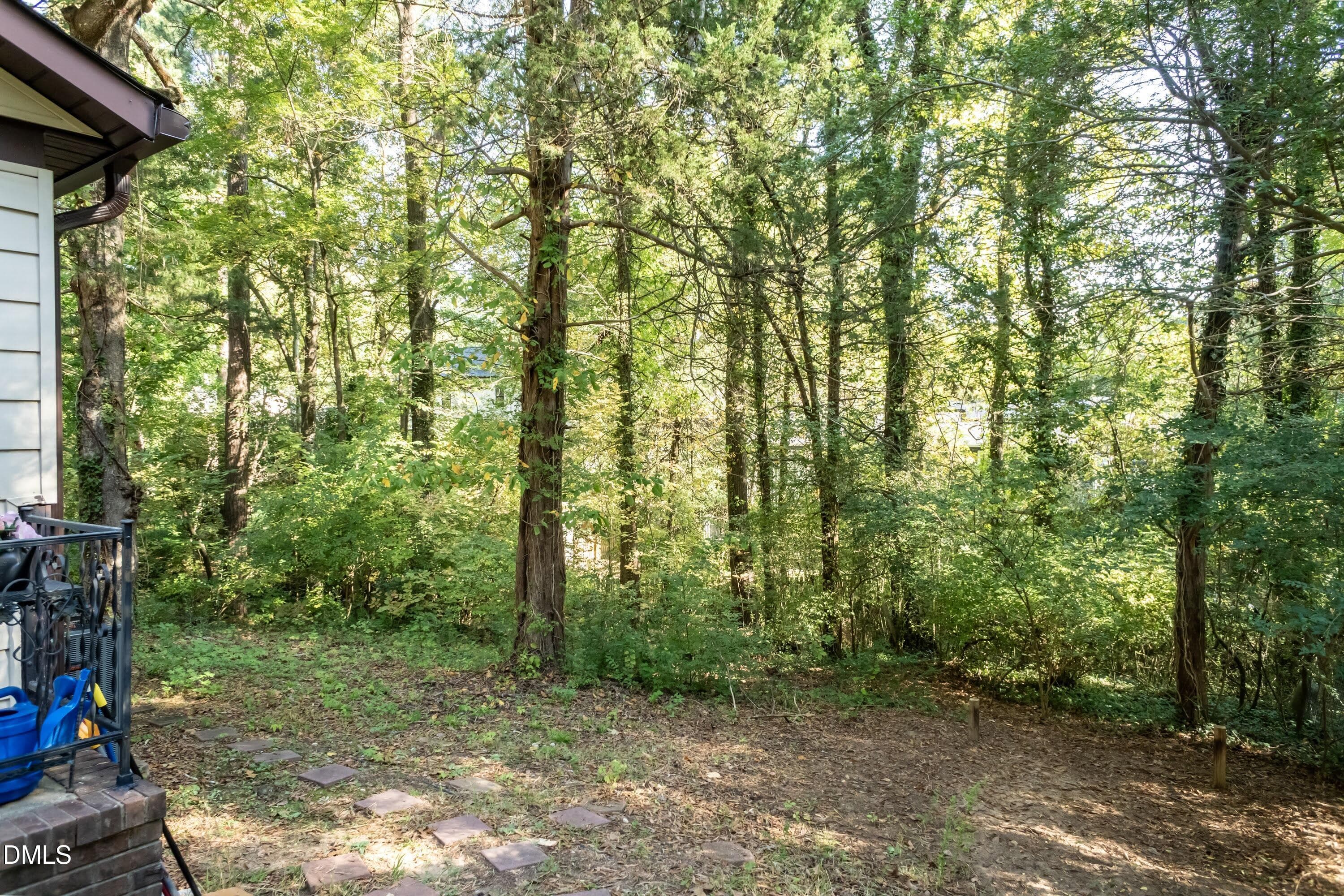Back Yard 01 - 1122 Saxony Drive, Durham, NC 27707, Durham