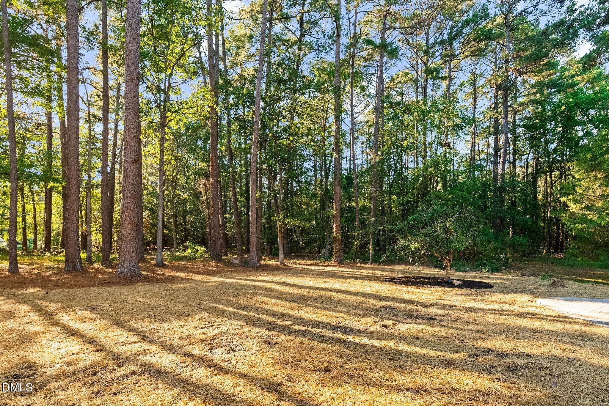 37_DSC09192 - 6350 Beaver Creek Road, New Hill, NC 27562, New Hill