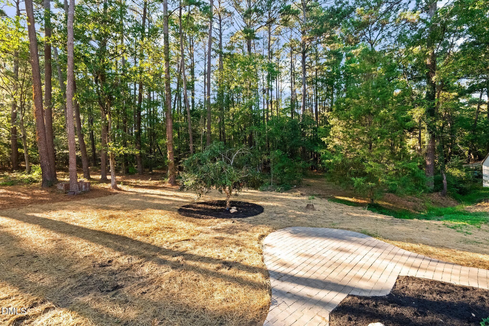 42_DSC09197 - 6350 Beaver Creek Road, New Hill, NC 27562, New Hill
