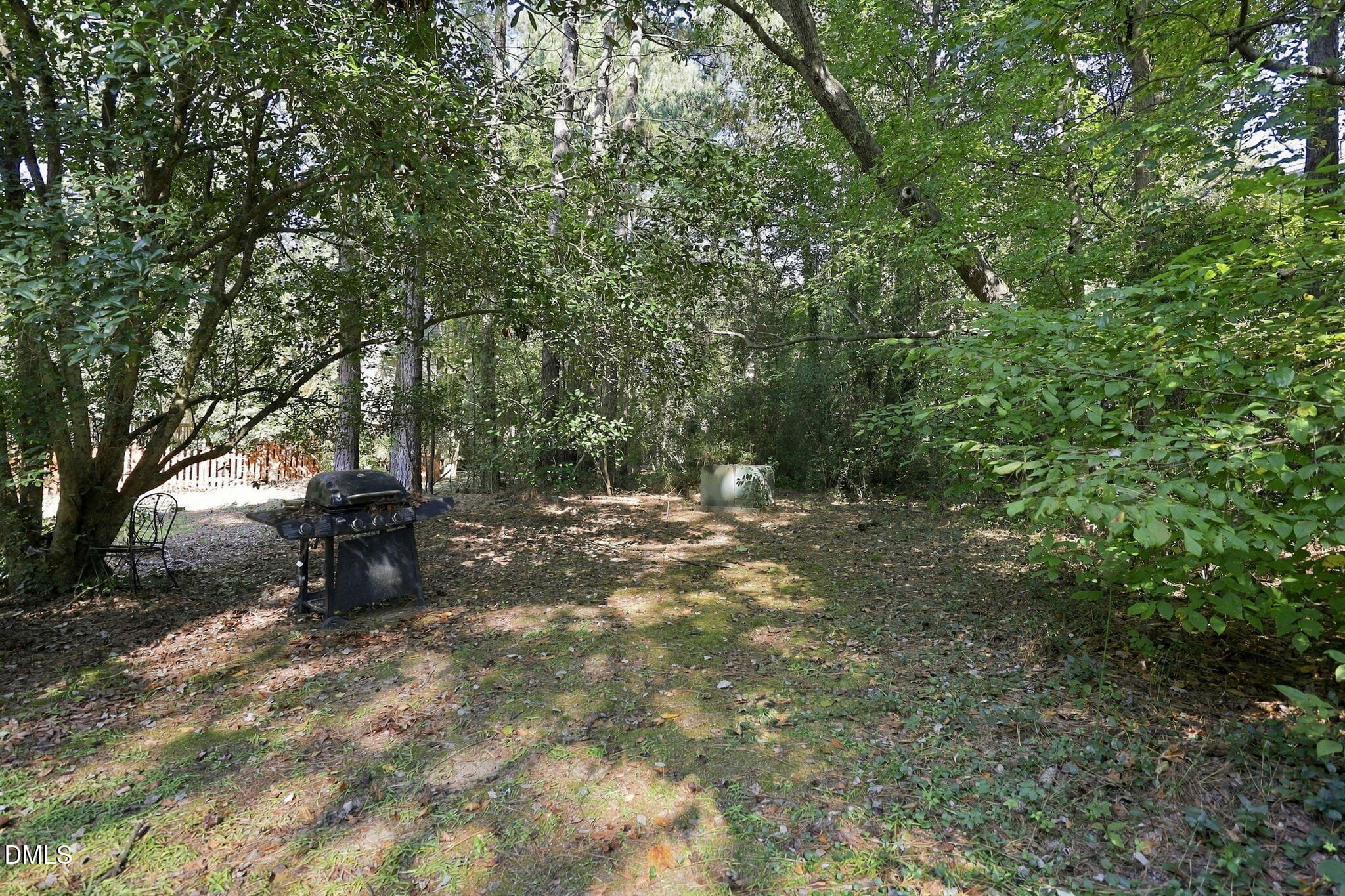 58-web-or-mls-IMG_4039 - 3305 Coachmans Way, Durham, NC 27705, Durham