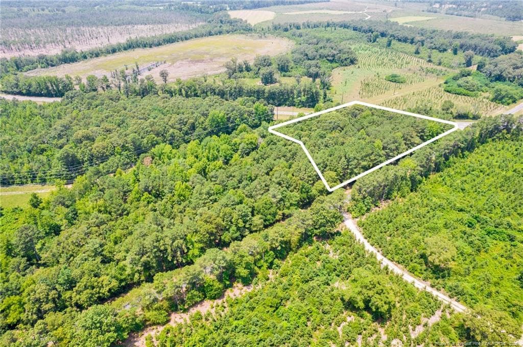 Photo 7 - Seals Road, Laurinburg, NC 28352