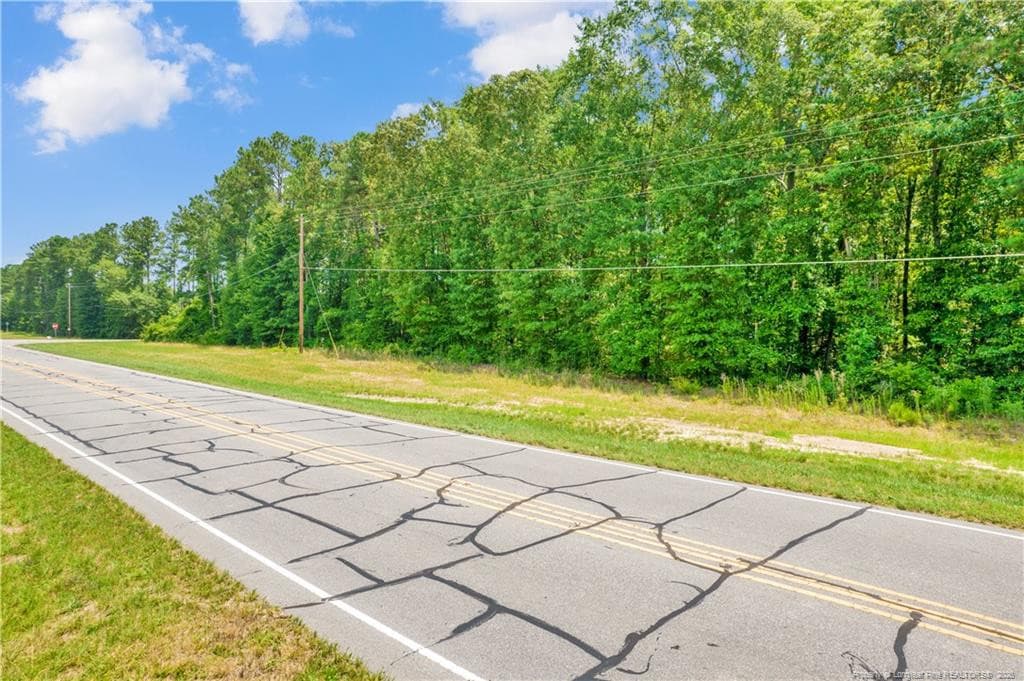 Photo 8 - Seals Road, Laurinburg, NC 28352