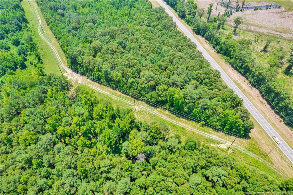 Photo 18 - Seals Road, Laurinburg, NC 28352