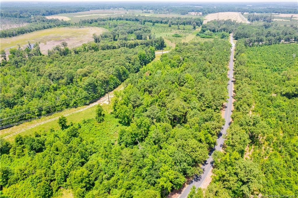 Photo 21 - Seals Road, Laurinburg, NC 28352