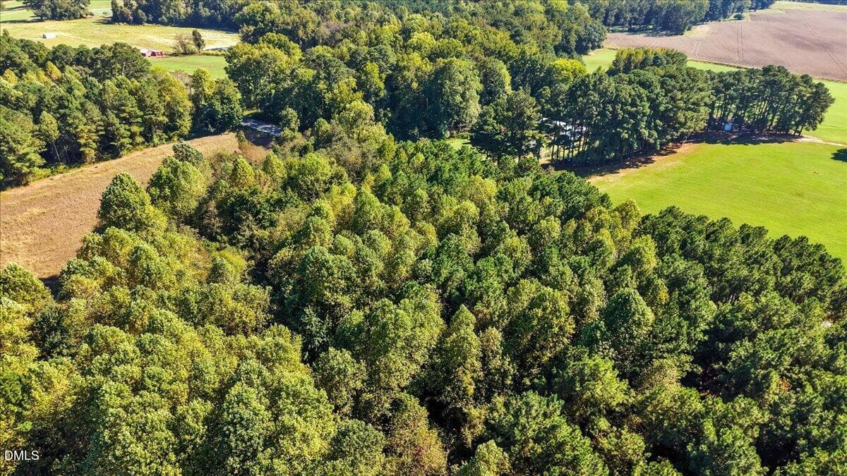 8-1875 Packing Plant Rd-8 - 0 Packing Plant Road, Smithfield, NC 27577