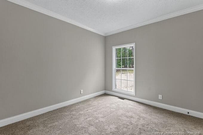 Photo 27 - 1030 Stubby Oaks Road, Aberdeen, NC 28315