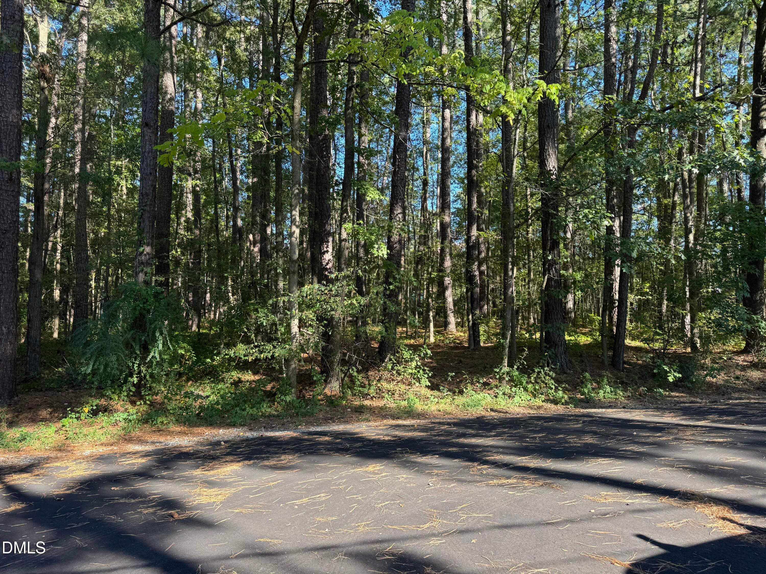 Leyburn Place - Flat Topography Wooded v - 2712 Leyburn Place, Durham, NC 27705