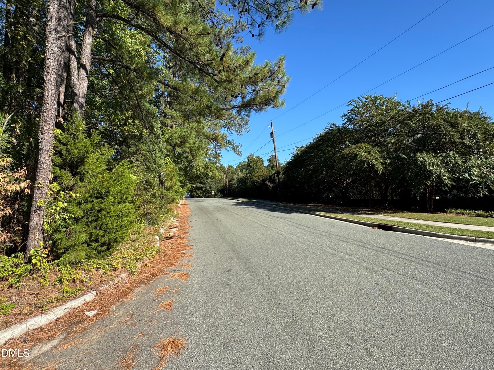 Leyburn Place - View East Down Bertland - 2712 Leyburn Place, Durham, NC 27705