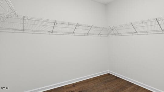 PRIMARY SUITE CLOSET - 361 Alexis Loop, Sanford, NC 27330