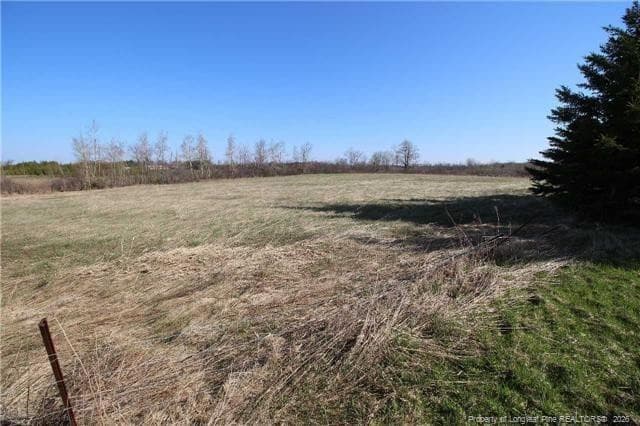 Photo 8 - 49 Lookout Point, Sanford, NC 27332, Sanford