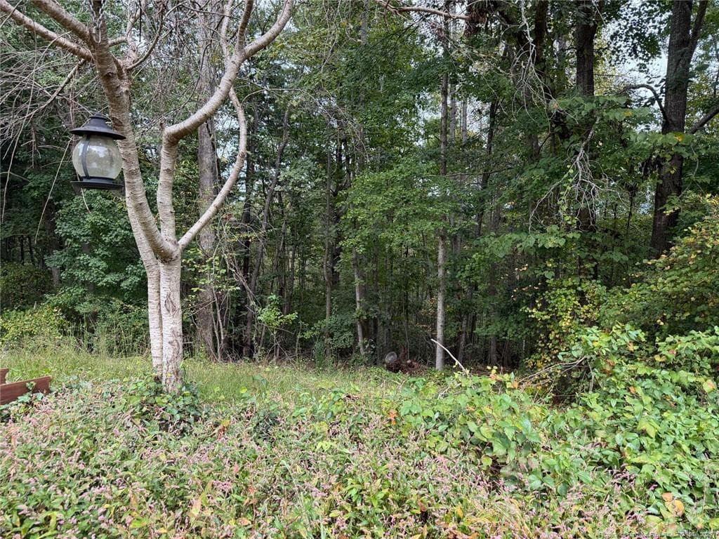 Photo 17 - 7341 Rockhaven Avenue, Connelly Springs, NC 28612, Connelly Springs