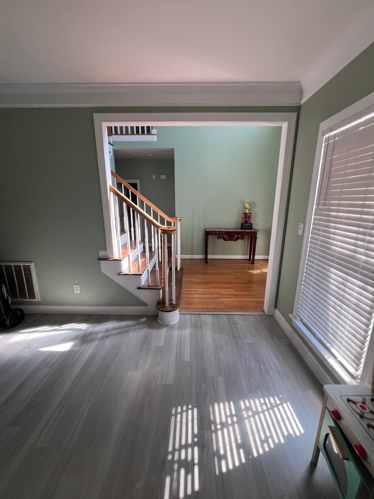 LR - 704 Rushing Falls Place, Fuquay Varina, NC 27526