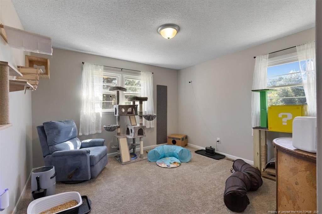 Photo 20 - 2890 Fulford Mcmillan Road, Raeford, NC 28376, Raeford