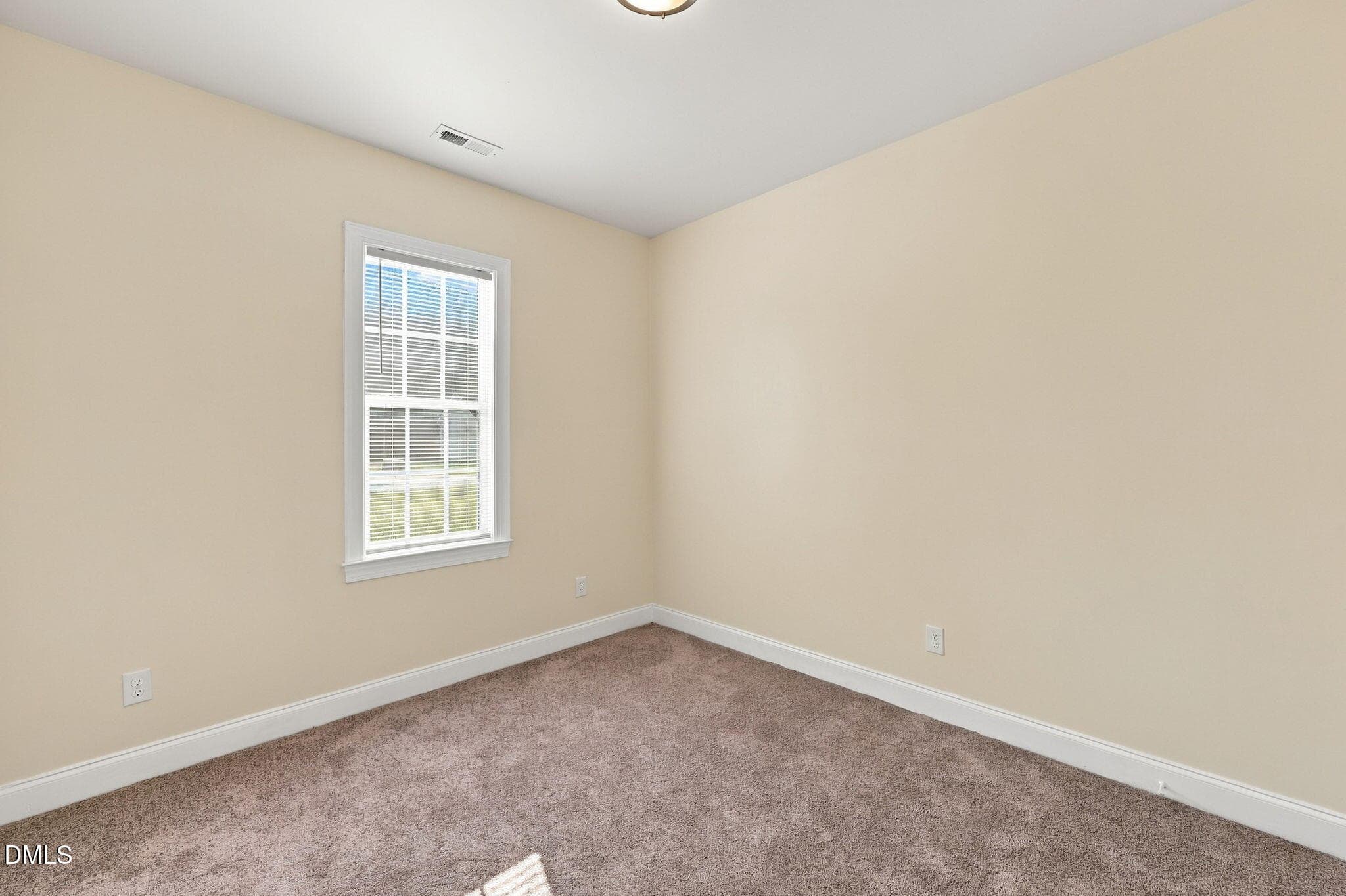 42-web-or-mls-IMG_1146 - 102 Wilsons Way, Creedmoor, NC 27522, Creedmoor
