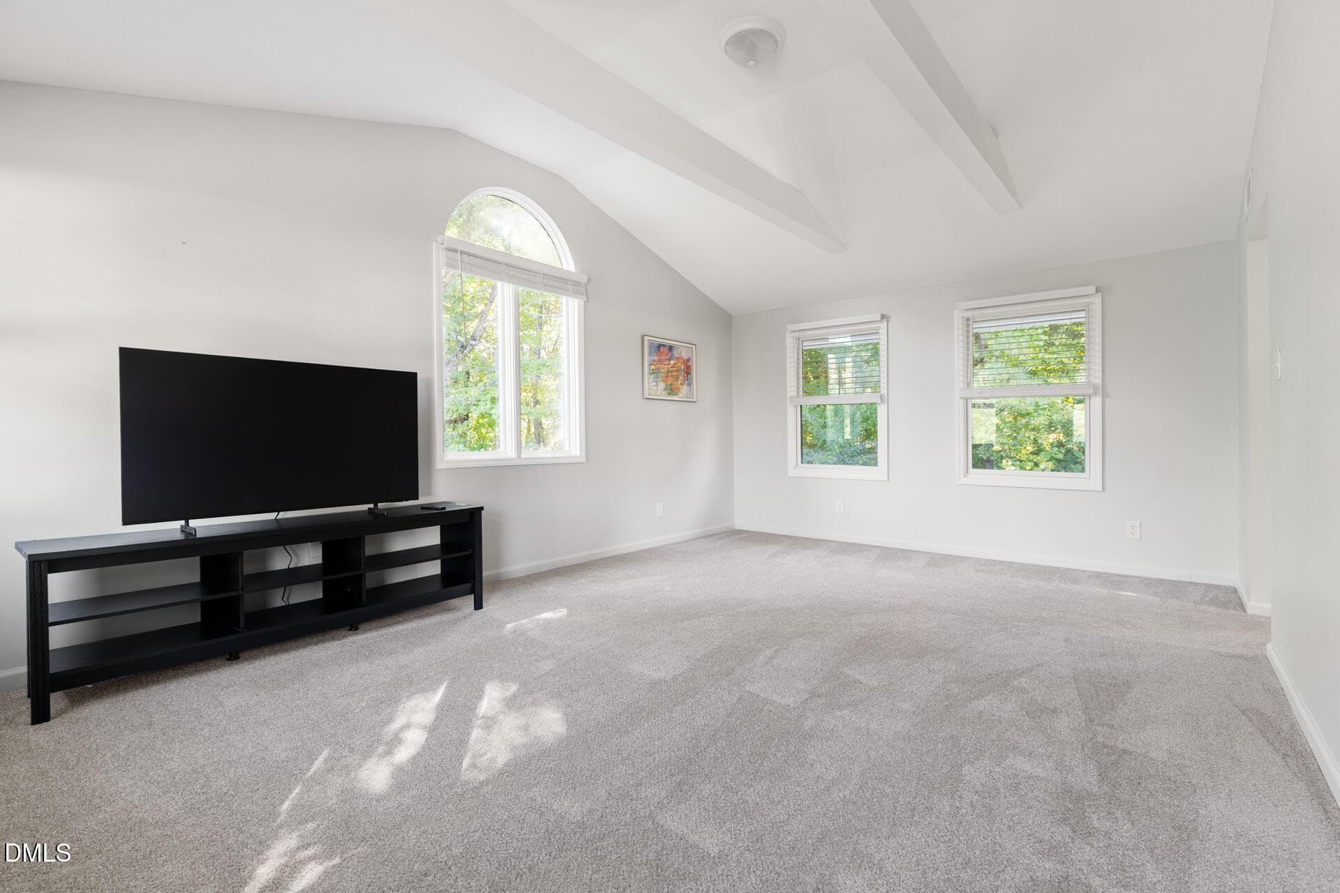 207-W-Corbin-153 - 207 W Corbin Street, Hillsborough, NC 27278