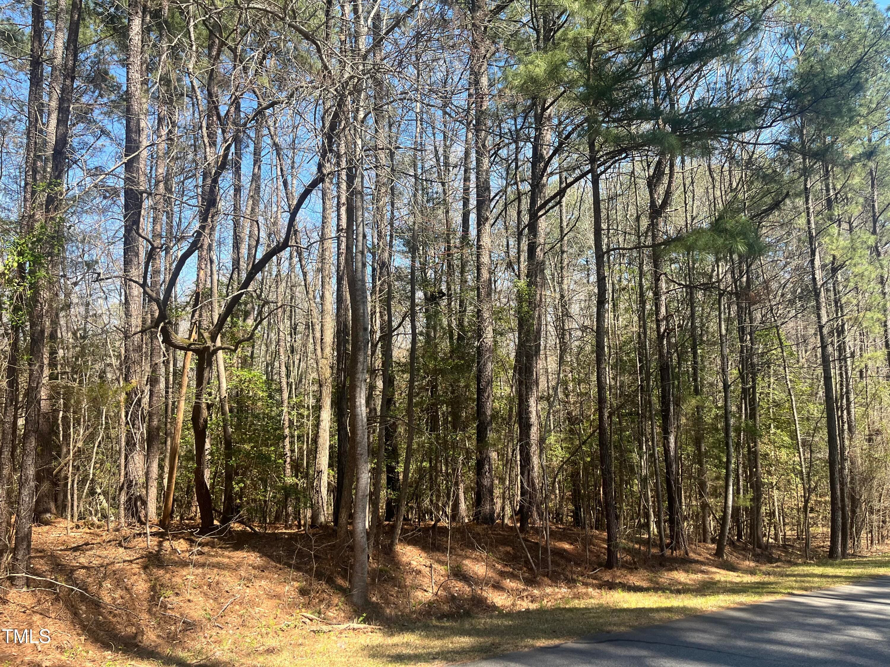 55137163-9CFA-4297-8DF9-04B5ACA00C25 - 119 & 121 Osage Drive, Louisburg, NC 27549, Louisburg