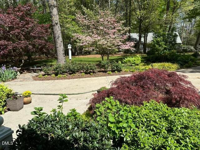 IMG_5194 - 8525 Kempton Road, Raleigh, NC 27615, Raleigh