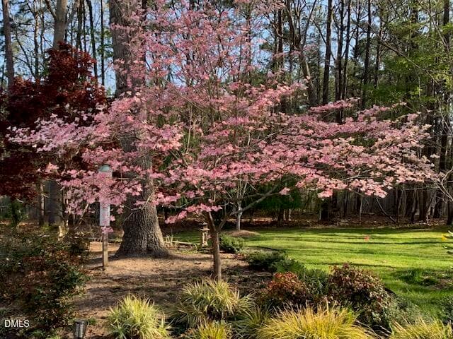 IMG_2933 - 8525 Kempton Road, Raleigh, NC 27615, Raleigh