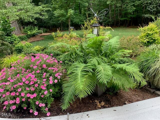 IMG_2429 - 8525 Kempton Road, Raleigh, NC 27615, Raleigh