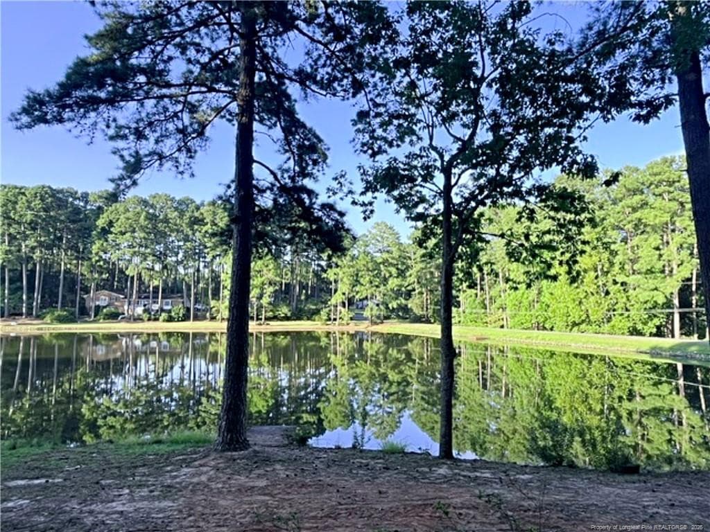 Photo 22 - 1904 Lord Ashley Drive, Sanford, NC 27330, Sanford