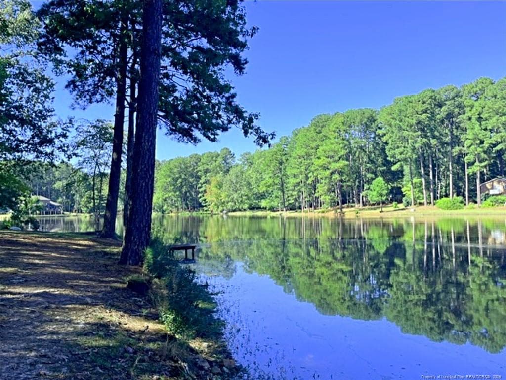 Photo 38 - 1904 Lord Ashley Drive, Sanford, NC 27330, Sanford