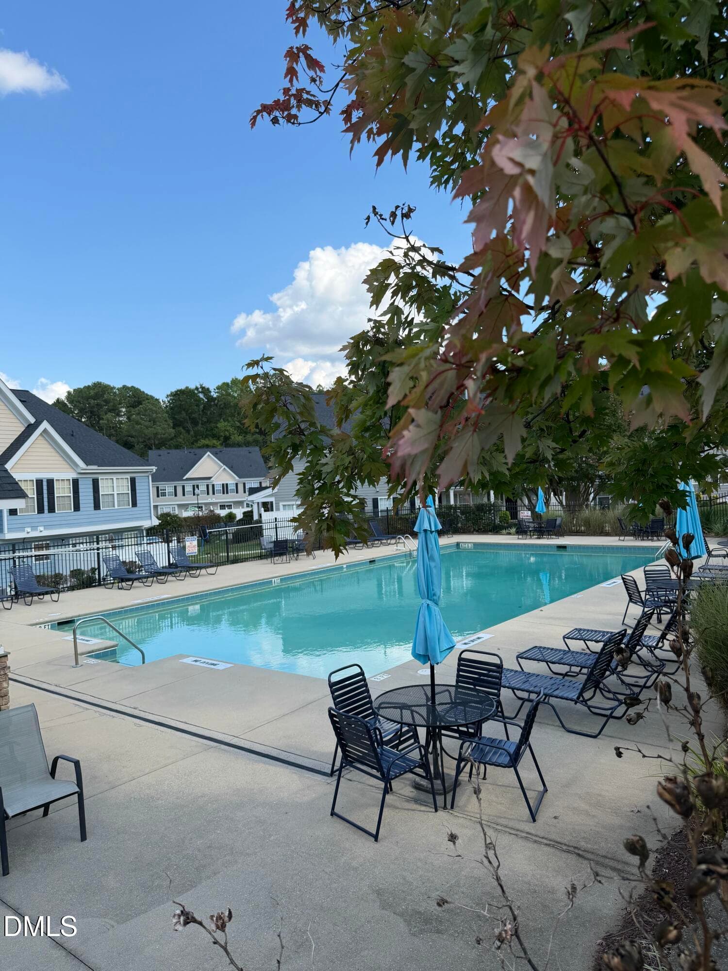 Community Pool - 1237 Legacy Greene Avenue, Wake Forest, NC 27587