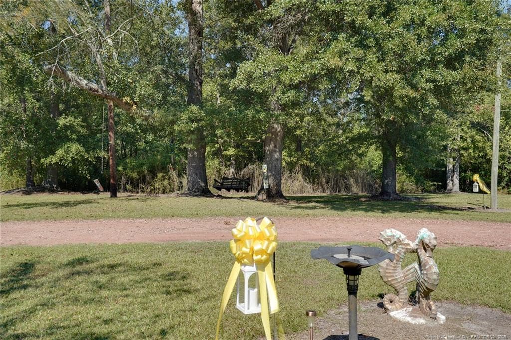 Photo 5 - 2441 Hestertown Road, Lumberton, NC 28358